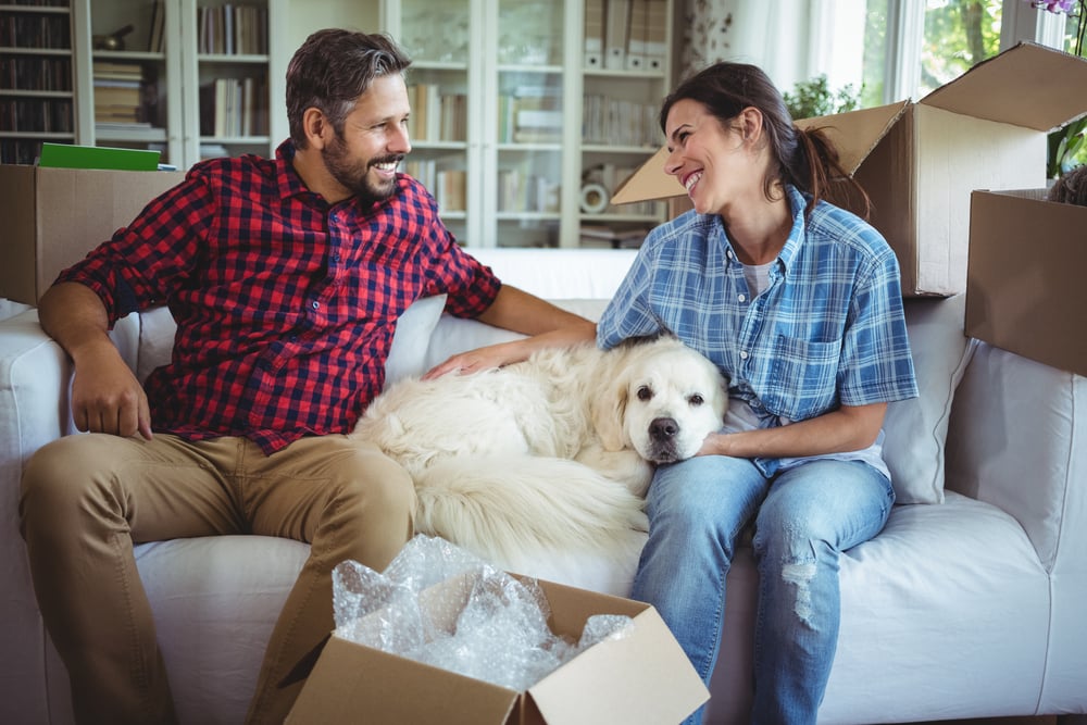 Couple sitting on sofa with their pet dog in their new house-1